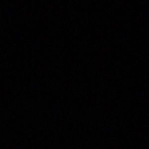 Meet your Posher, Lilleigh